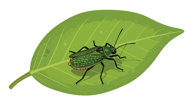 Green Stink Bug or Shield Bug Resting on a Leaf Vector Illustration for Nature and Gardening Concepts