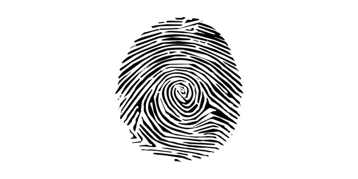 Intricate Fingerprint Detail: A detailed capture of a fingerprint, showcasing the unique and complex patterns inherent to each individual, symbolizing identity and security.