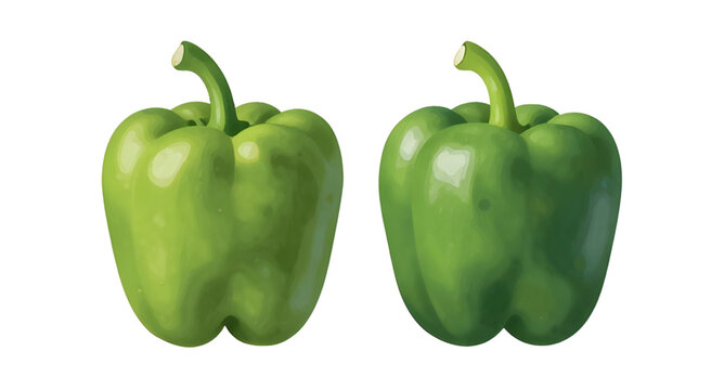 bellpepper, pepper, vegetable, capsicum, red, green, yellow, fresh, food, organic, healthy, natural, farm, ingredient, produce, isolated, vector