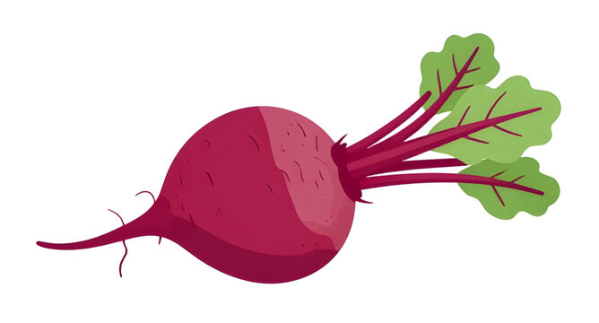 beetroot flat illustration, simple beet vegetable, red root vegetable design, flat color beet graphic, organic beet artwork, healthy food clipart, farm produce illustration, minimal beet drawing, fres