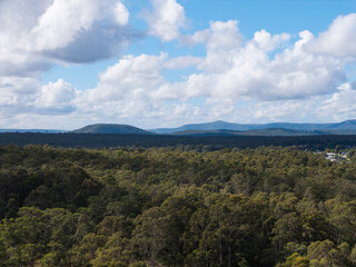 Fototapeta premium Beautiful view of trees and mountain landscape.