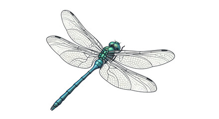 Detailed blue dragonfly illustration isolated on white background © AAS CREATIVE