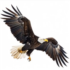Obraz premium Majestic Eagle in Flight Isolated on White Background - Powerful Bird of Prey Spreading Wings