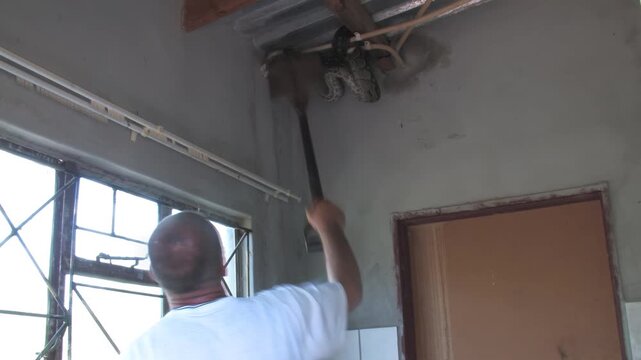 men carefully handle a massive African rock python From house Indoor Ceiling in a rural Botswana setting