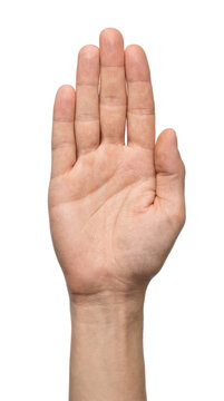 Open Hand Palm Showing Five Fingers and Lines