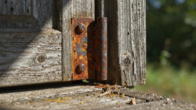 Rusty Metal Hinge on Weathered Wood Texture