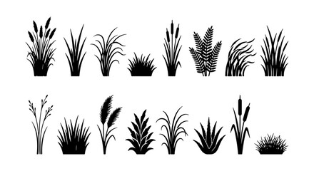 Vector Silhouette Collection of Wetland Plants, Reeds, and Grasses. Natural Botanical Elements for Landscape Design and Environmental Graphics. © Abdullah