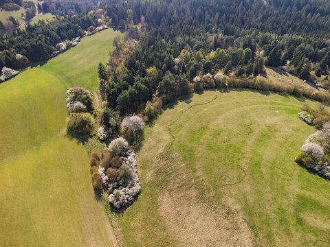 Aerial view of Sajbica hills with blooming trees and lush green meadows bordering a dense forest in Lubietova, Banska Bystrica Region, Slovakia.