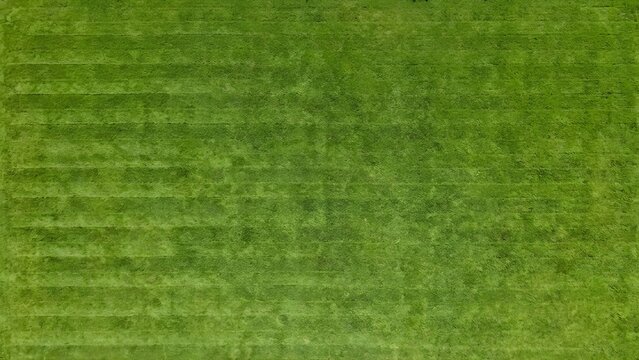 Aerial top-down view of a lush green grass field with horizontal mowed stripes. High angle texture of a manicured lawn or sports turf with parallel lines for background use.