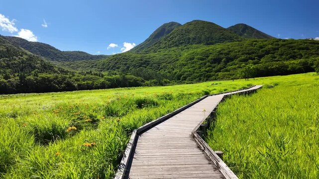 夏のタデ原湿原