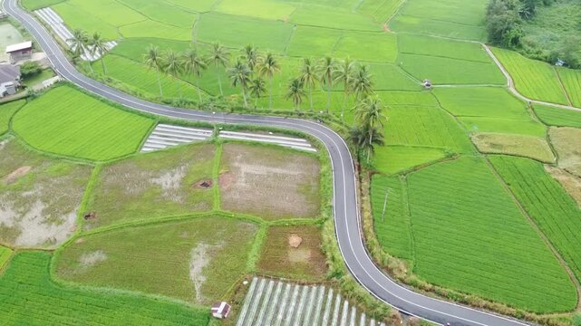 aerial view using drone, rice fields in the village and highways among others, in West Sumatra, Indonesia