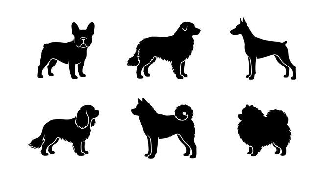 Six Black Dog Silhouettes, Vector Icons Set: French Bulldog, Collie, Doberman, Spaniel, Akita, Pomeranian, Canine Breed Collection for Pet Graphics