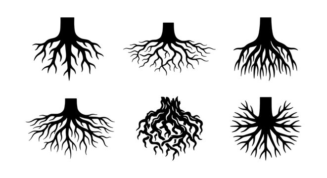Vector Silhouette Set of Diverse Tree Root Systems and Underground Branching Structures