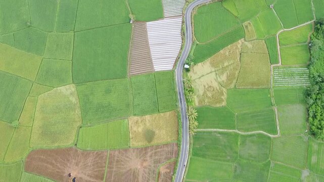aerial view using drone, rice fields in the village and highways among others, in West Sumatra, Indonesia
