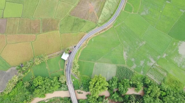 Aerial view using drone, highway between rice fields, in West Sumatra, Indonesia