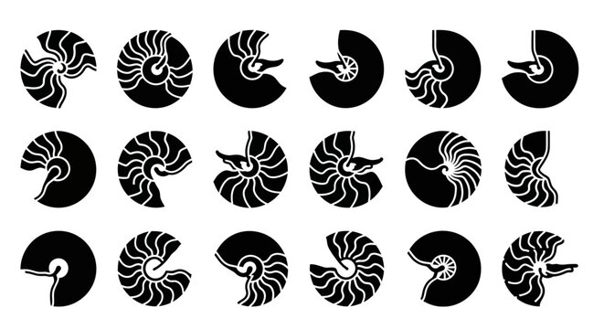 Black Nautilus Shell Icons, Spiral Shell Symbols, Oceanic Vector Graphics, 16 Shell Illustrations