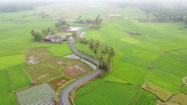 aerial view of rural landscape and rice field area in the village, in West Sumatra, Indonesia