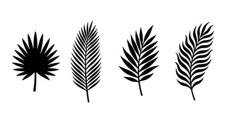 Fototapeta premium Set of Four Black Palm Leaf Silhouettes, Tropical Foliage Vector Icons, Exotic Botanical Elements for Summer Design