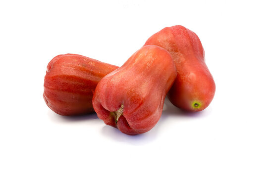 Three fresh red wax apples with smooth skin and plump shape on white background
