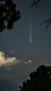 A celestial visitor streaks across a starlit sky, framed by silhouetted trees and soft clouds, creating a breathtaking, otherworldly vista of cosmic wonder.