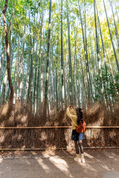 Young female tourist taking a photo of the Bamboo forest at Arashiyama in Kyoto, Japan