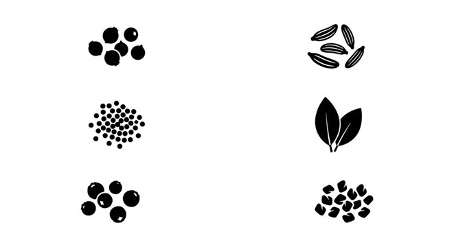 Minimalist Kitchen Spice and Herb Icon Set featuring Peppercorns, Fennel Seeds, Bay Leaves, and Rock Salt - Black and White Vector Illustration