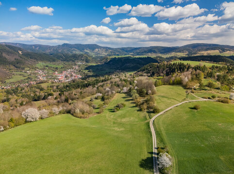Aerial view of the Sajbica area near Lubietova with rolling green hills, blooming spring trees and a winding dirt path under a blue sky, Lubietova, Banska Bystrica Region, Slovakia.
