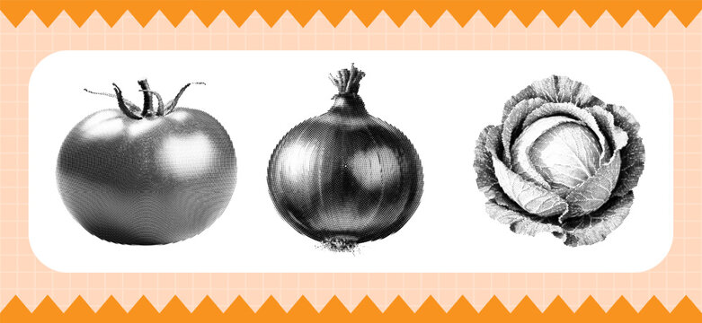Halftone vintage engraving style illustration of a tomato, an onion, and a head of cabbage