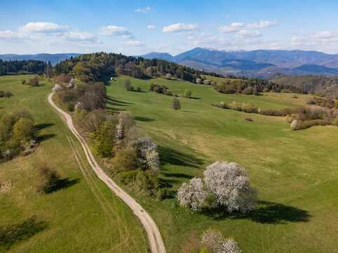 Aerial view of the Sajbica area with a winding dirt road, blooming cherry trees, and rolling green hills under a blue sky in spring Lubietova, Banska Bystrica Region, Slovakia.