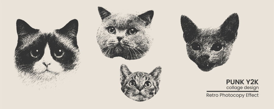 Set of handdrawn cat portraits in a punk y2k collage style with a retro photocopy texture
