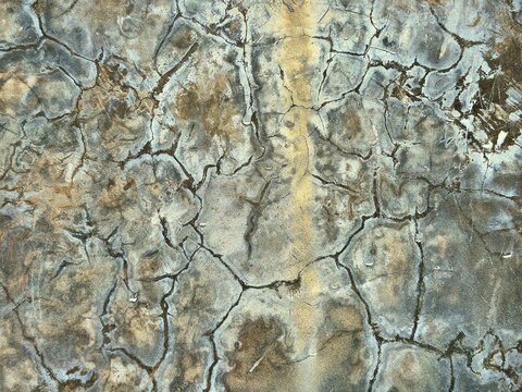 Weathered Cracked Concrete Wall Surface with Grunge Texture