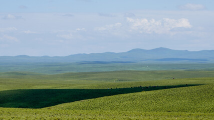 Obraz premium Grassland scenery in Gannan area of China