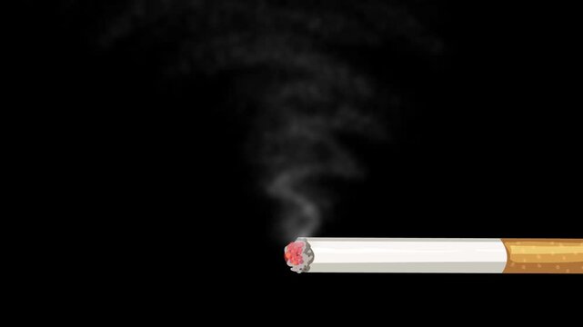 Burning cigarette emitting smoke motion graphic, animation on black and green screen background.