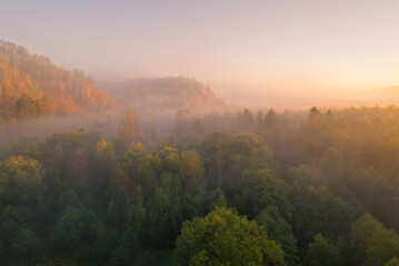 Aerial view of golden sunrise light illuminates a tranquil forest valley shrouded in gentle morning mist © Evgenii Bakhchev