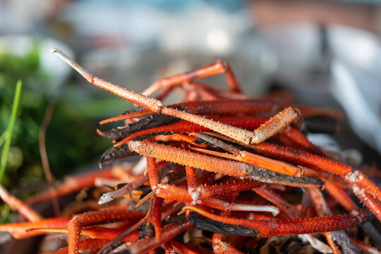 Close up grilled crab legs stacked with charred texture and vibrant color fresh seafood dish rich protein cuisine street food style and natural light background