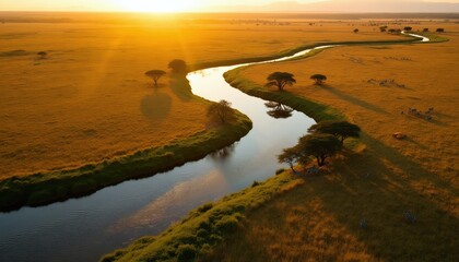 Obraz premium Golden hour aerial view of meandering river through African savanna. Zebras graze near acacia trees on grassy plains. Sun sets casting long shadows, wildlife migration scene.