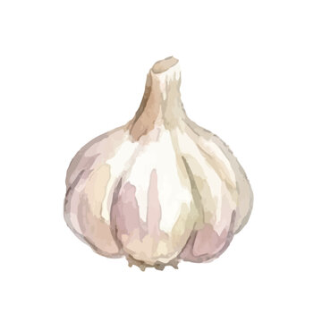 Watercolor-style Italian ingredients set, fresh tomato pasta garlic and olive oil ／ 水彩イタリアン食材