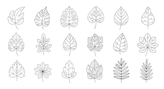 Collection of leaf line drawings with dashed outlines offers a variety of botanical shapes for minimalist nature designs.
