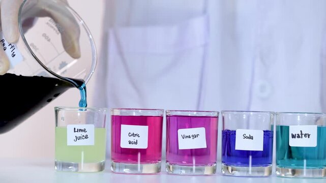Science experiment: adding butterfly pea extract to lime juice, citric acid, vinegar, soda and water.