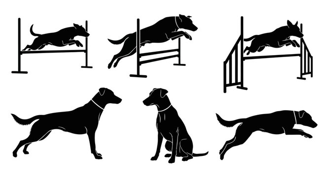 Dog Agility Training Silhouettes Set