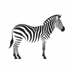 Obraz premium Zebra, black and white stripes, animal illustration, wildlife icon, vector graphics