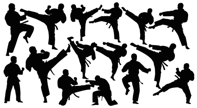 Karate Silhouette Collection: Dynamic Kicks and Punches in Martial Arts Poses