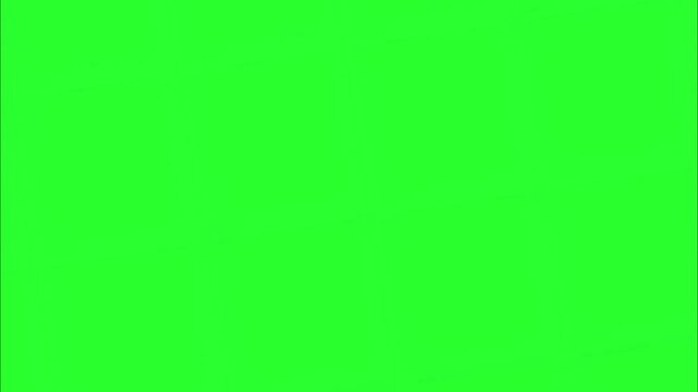 A white "Subscribed" button with a purple bell and animated sparkles on a vibrant green screen.