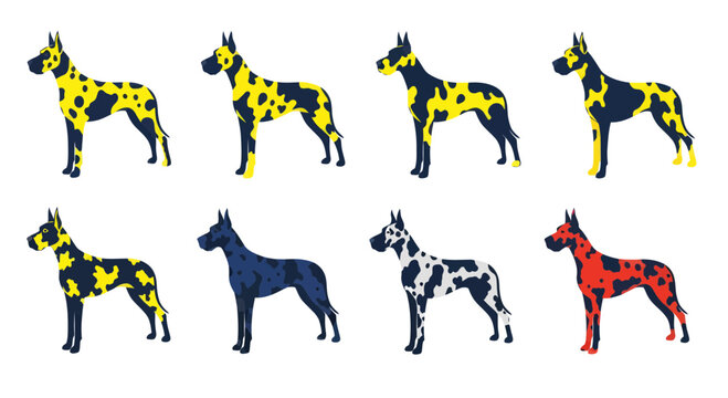 Great Dane Dog Breeds Collection: Harlequin, Merle, Fawn, Blue, and Red Variations