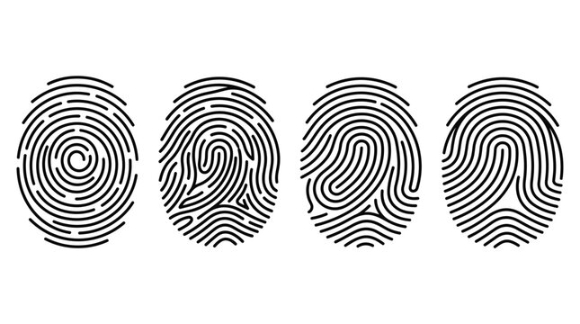 Biometric fingerprint identity verification collection, flat monochromatic line symbols, security, access, authentication, privacy, and identification.