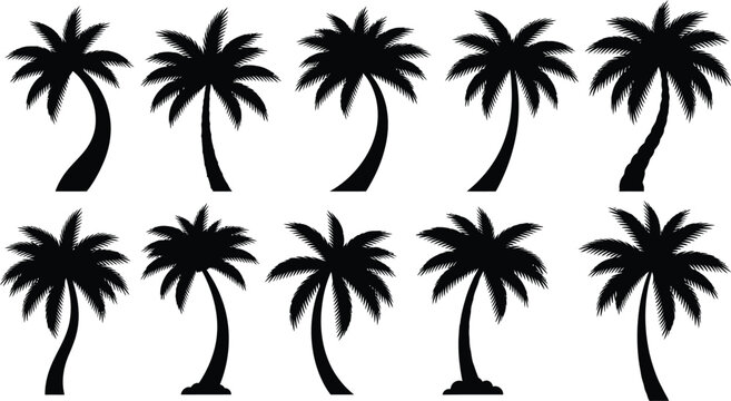 Collection of ten black silhouettes of palm trees with varied trunk shapes and frond arrangements on a white background