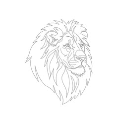 Obraz premium Majestic lion head line art drawing with detailed mane and fierce expression wild animal big cat white background illustration