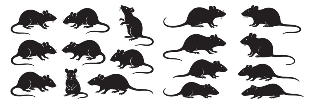 Rat and mouse silhouette collection. Rodent pest control and exterminator service vector set. Creepy running and standing mice isolated on white background.
