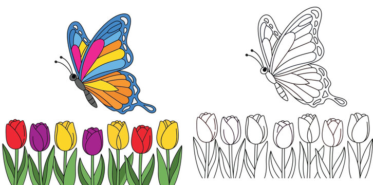 Butterfly and Tulip Flowers Coloring Book Page Set for Kids Activity Educational Vector Illustration with Colored Example and Outline Line Art for Children Creativity and Learning