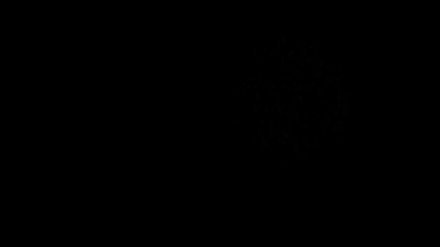 2D Colorful fireworks explosion lighting up the night sky during festival celebration with bright sparkling lights and vibrant pyrotechnic display creating a festive mood in high quality 4K footage